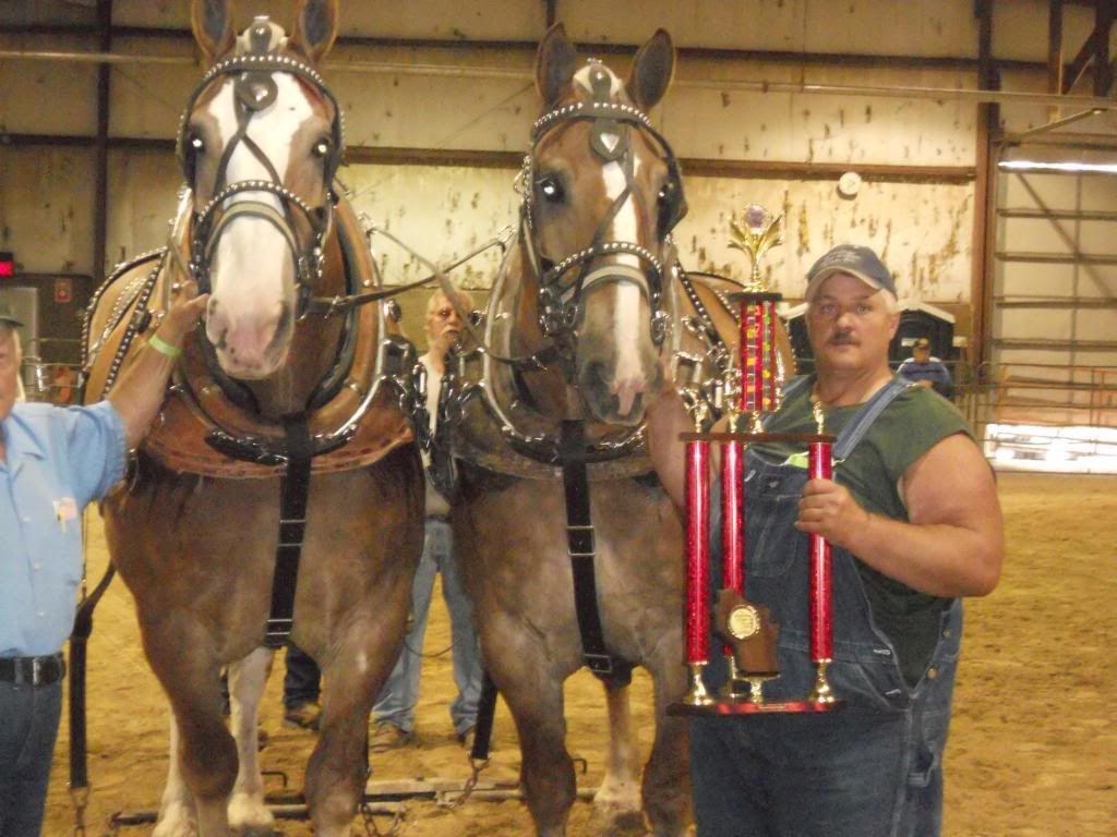Pulverized Concepts 2013 Wisconsin National Horse & Pony Pull
